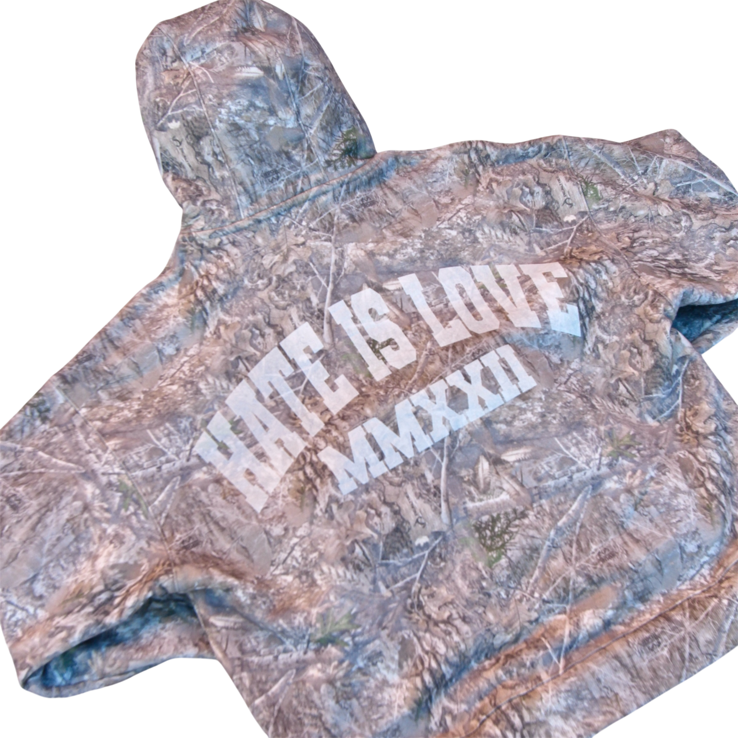 Camo Logo Hoodie